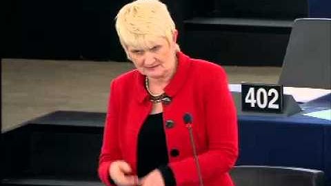 Marian HARKIN 25 Nov 2014 plenary speech on Implementation of the Employment Equality Directi