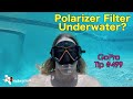 Can Polarizer Filter Work Underwater? GoPro Tip #499