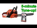 Echo Chainsaw: 5-MINUTE TUNE-UP (air filter, fuel filter, spark plug)