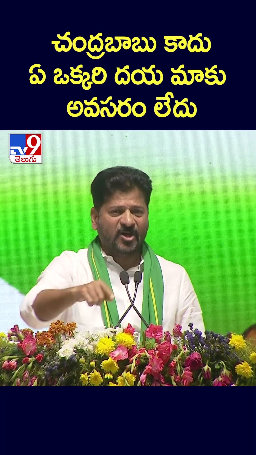 చంద్రబాబు కాదు.. ఏ ఒక్కరి దయ మాకు అవసరం లేదు: CM Revanth Reddy - TV9