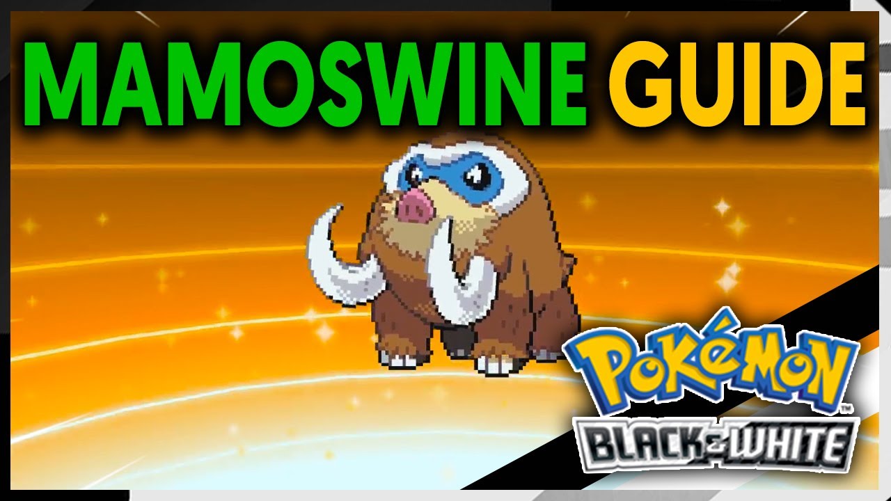 HOW TO EVOLVE PILOSWINE INTO MAMOSWINE ON POKEMON BLACK AND WHITE YouTube