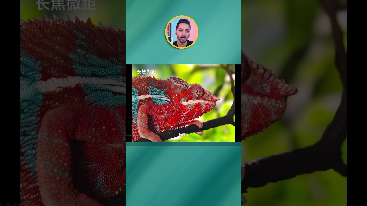 World's Fastest Android Smartphone ! #shorts
