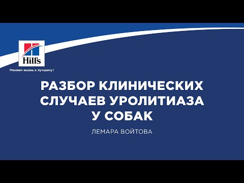 Вебинар на тему: “Разбор клинических случаев уролитиаза у собак”. Лектор - Лемара Войтова.