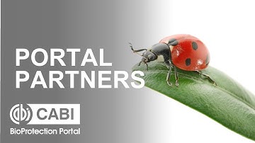 Portal Partners