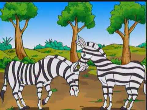 Video: Mengapa Zebra Bergaris