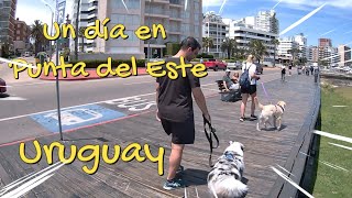 24 horas en PUNTA DEL ESTE  Uruguay 'Me deja sin palabras!!'