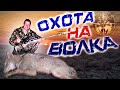 ОХОТА НА ВОЛКОВ осенью на 2021волки обнаглели фермеры плачут .Wolfsjagd