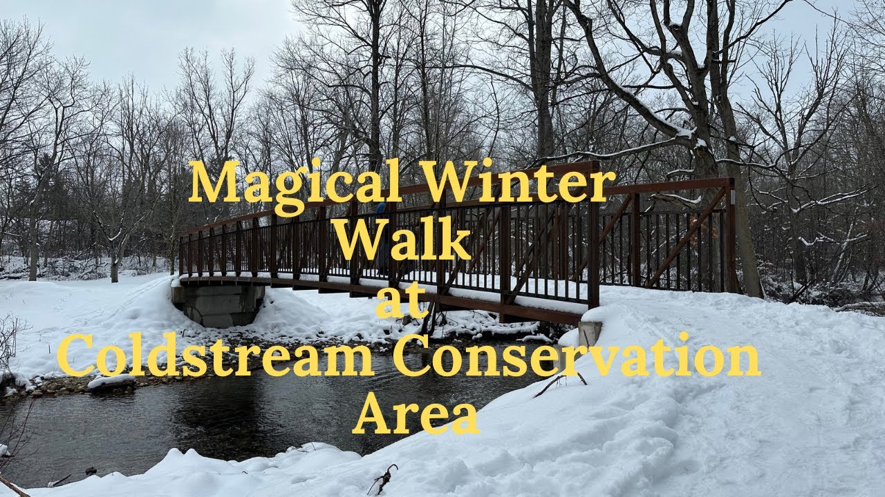 A Winter Wonder-Magical Walk at Coldstream! London, Ontario - YouTube