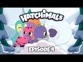Hatchimals | Episode 4 | Penguala’s Polar Prank | TEAM HATCH YouTube Series