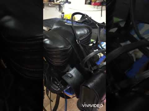 29 იანვარი, 2021