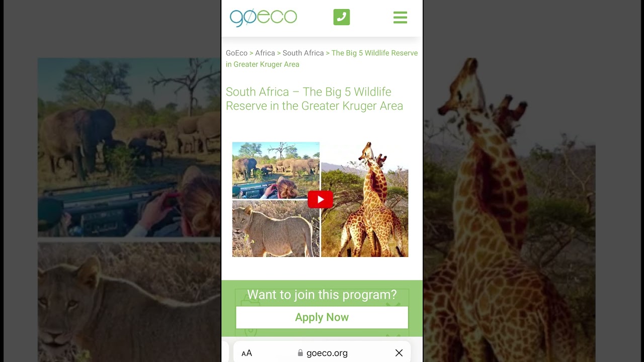 Volunteer in South Africa 