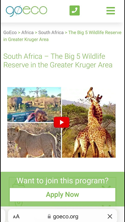 Volunteer in South Africa #internationalvolunteering #goeco #wildlife