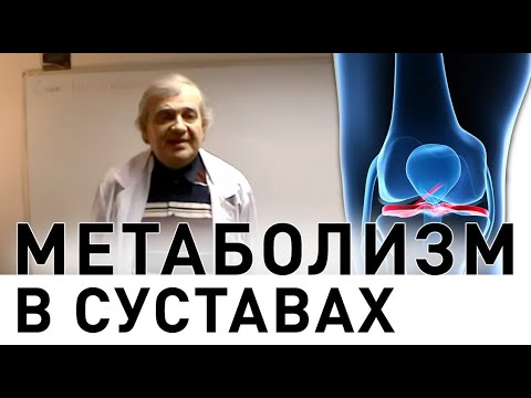 Метаболизм в суставах (А.Н. Алименко)