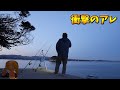 カレイ釣りに行って アレの見えた日【前編】 の動画、YouTube動画。