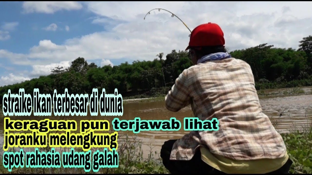🔴JANGAN REMEHKAN!!!MANCING DI AIR KERUH DAPAT IKAN TAWES DAN UDANG
