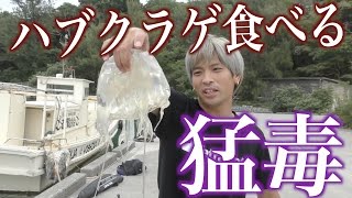 釣ったハブクラゲをその場で食べる【ジョーブログ サバイバル】