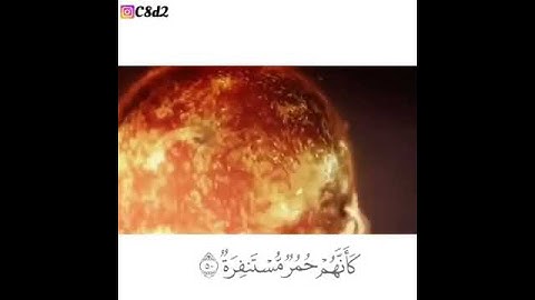 تلاوة رائعة ادريس ابكر ماسلككم في سقر.