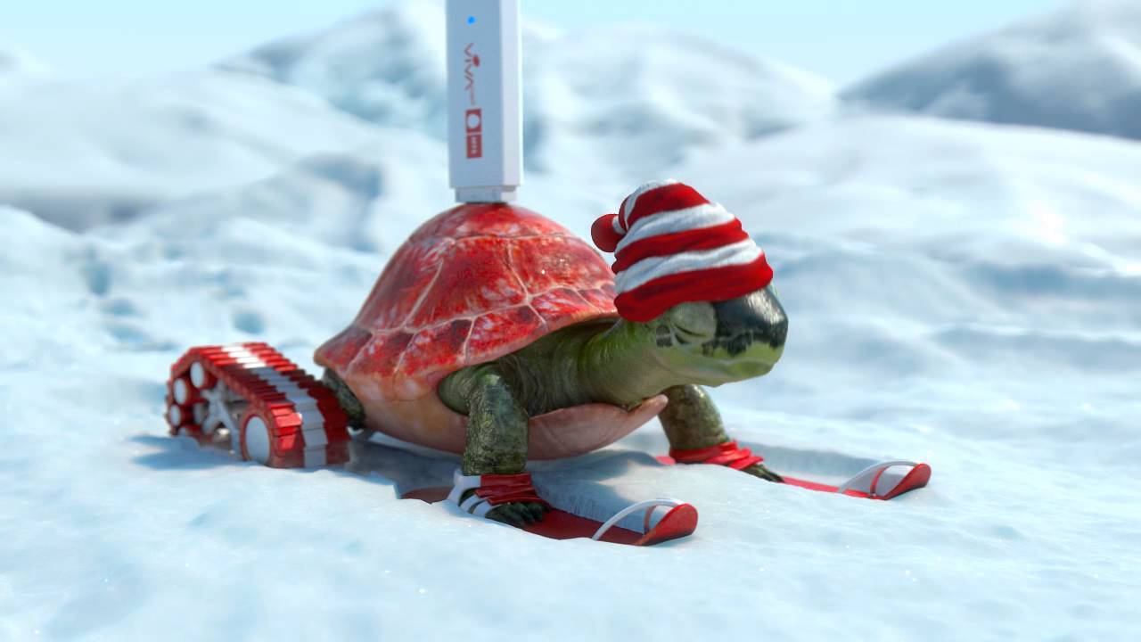 VivaCell Turtle Winter
