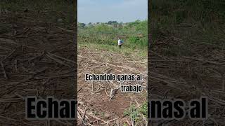 talves me ignores por cer agricultor