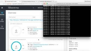Microservices Blue/Green and Canary deployments with Kubernetes/OpenShift