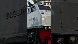 CC203 Edit | Next apa
