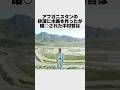 アフガニスタンに用水路を作り救った英雄中村哲#雑学 Mp3 Song