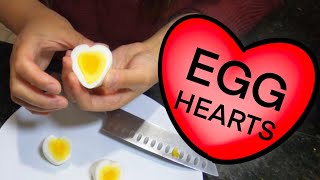 HOW TO MAKE EGG HEARTS | VALENTINE‘S DAY IDEA | HEART SHAPED HARD BOILED EGGS Net Worth