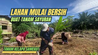 Tanam kelapa samekot dan lanjut bersihkan kebun buat tanam sayuran