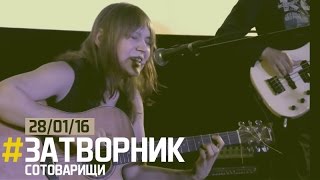 картинка: Затворник сотоварищи / архив Antifolk Cafe