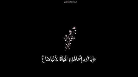 قرآن كريم حيث الراحه بصوت احمد العبيد💚|حالات واتس اب