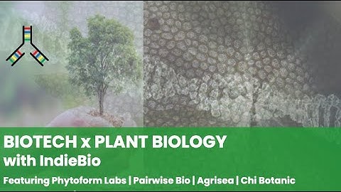 Biotech x Plant Biology with IndieBio | SOSV - The Accelerator VC