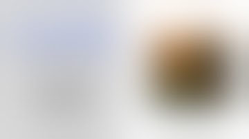 Create a Card Flip Animation with HTML, CSS