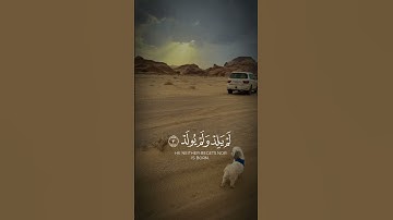 سورة الاخلاص #قرآن #قرآن_كريم #قران #قران_كريم #اكسبلور #لايك #حالات_واتس #المصحف ₩٠