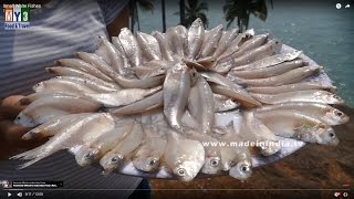How To Cook Small White Fish Perfect