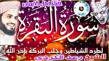 سورة البقرة كاملة مكررة لطرد الشياطين والجن والسحر والحسد والعين الشيخ رعد الكردي surat albaqara