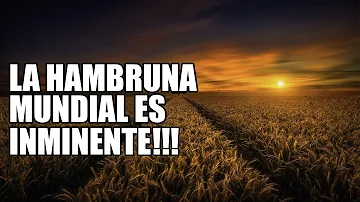 ¿No habrá alimentos en 2050?