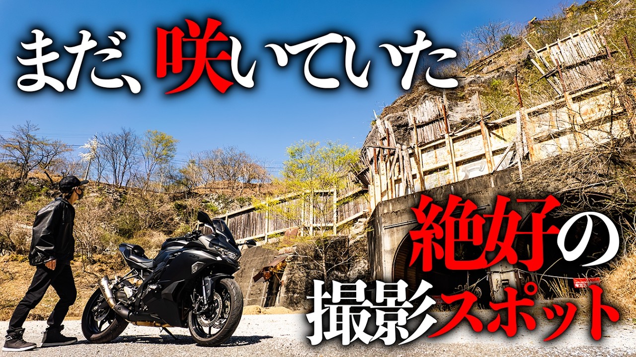 桜さま 桜ツーリング】前日の嵐、絶望から逆転を目指して満開の桜を探す