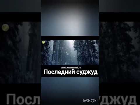 НЕВЕСТА УМЕРЛА НА СВОЕЙ СВАДЬБЕ, ПОСЛЕДНИЙ СУДЖУД