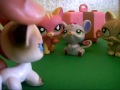 Littlest Petshop: Une vie en famille nombreuse (Partie #2)