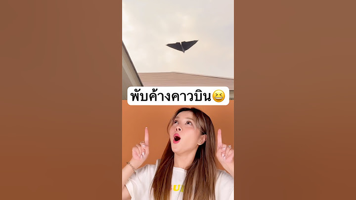 พับค้างคาวบิน บินได้เองจริงๆ‼️ #jamsai #jamsaijs #แจ่มใส