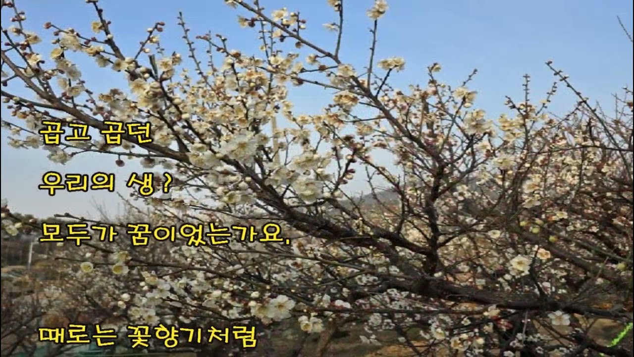 우리인생-향기/이 정순 (낭송)