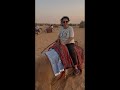 Sundowner Activity - Al Maha Desert Resort and Spa (Dubai)