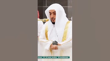 تلاوة مؤثرة من سورة البقرة بصوت فضيلة الشيخ د. الوليد الشمسان من صلاة العشاء ليوم 4 ذو القعدة 1446