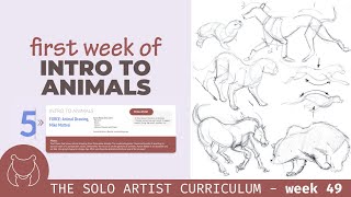 Starting to Draw Animals - Solo Artist Curriculum - self-taught art journey
