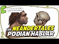 Los Neandertales pudieron oír y hablar como nosotros