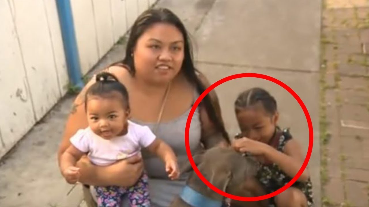 top movies on netflix Pit Bull Grabs Baby, Dragging Her Outside Mom Shocked As She Looks Out Door