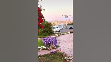 القارئ عبد الملك المشايخي
