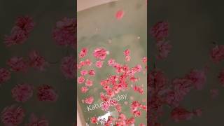 Flowers On Bath