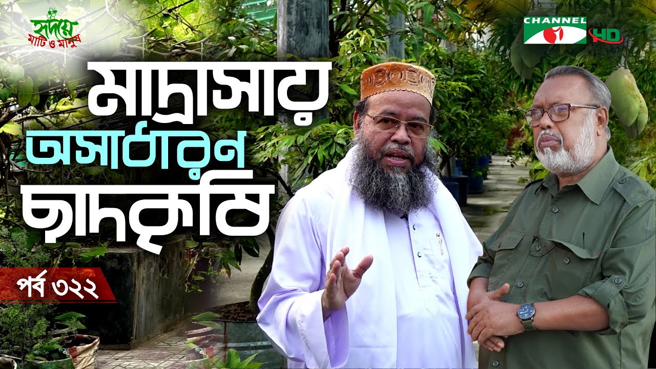 Eski klitoris katta porno