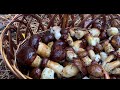 Вы только посмотрите,полтора часа в дождливом лесу! Что с грибами🍄🟫сегодня делает Светлана? Рецепт.